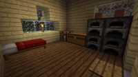 la maison slangster (3)